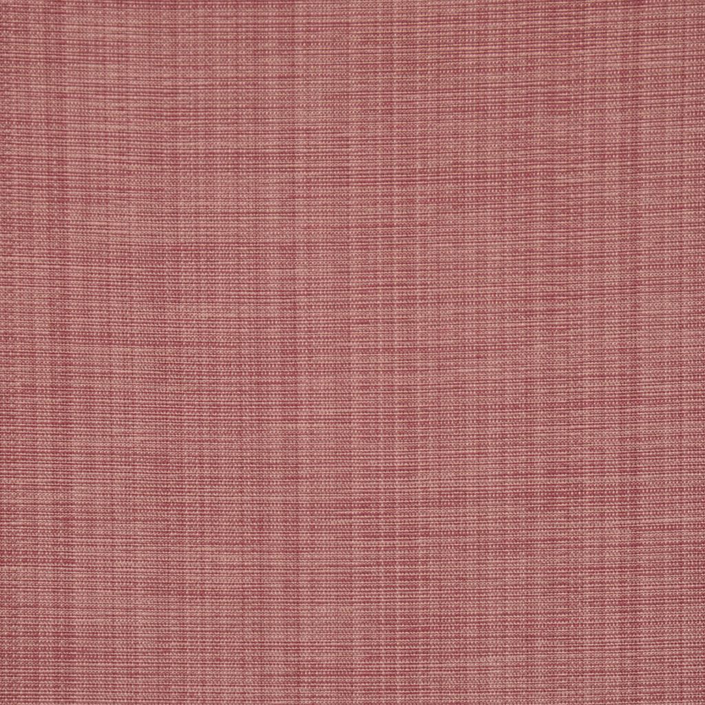 Eade's RMCoco-1189012-sample CAMEO