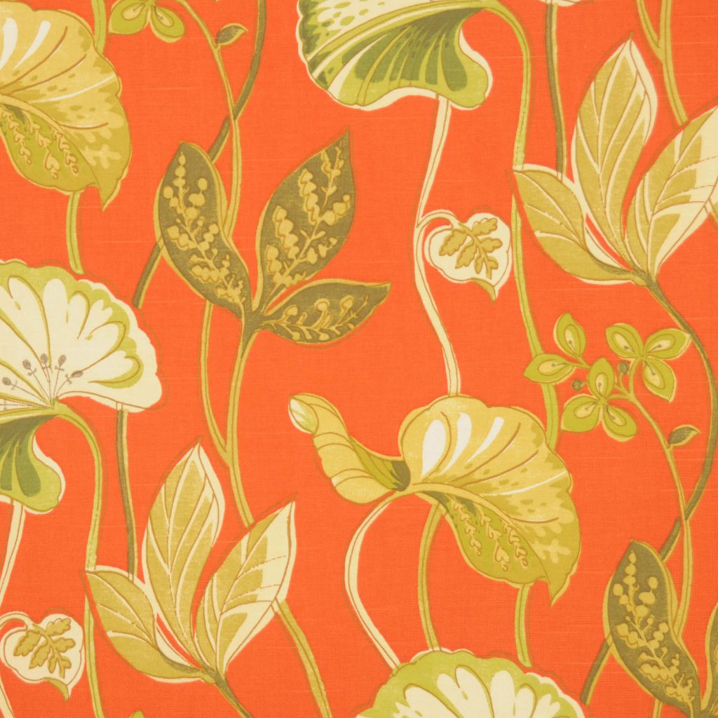 Eade's RMCoco-1183442-sample CORAL