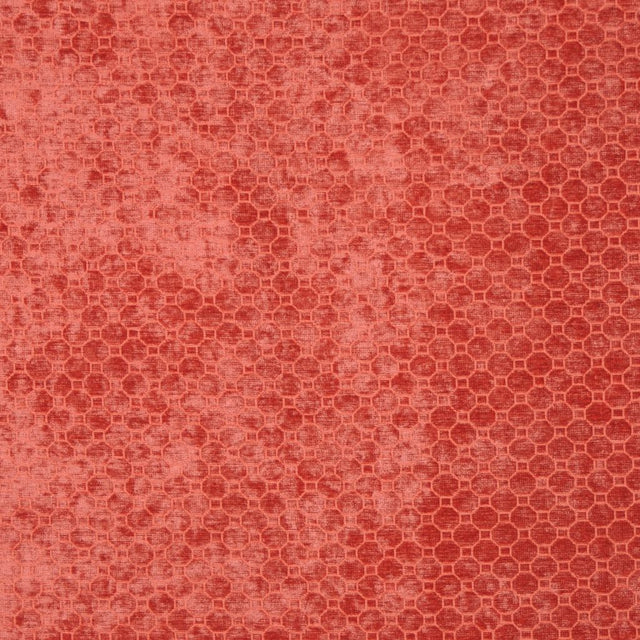 Eade's RMCoco-11838143-sample PERSIMMON