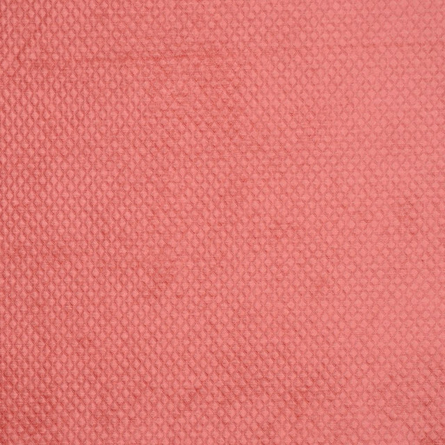 Eade's RMCoco-11841367-sample WATERMELON