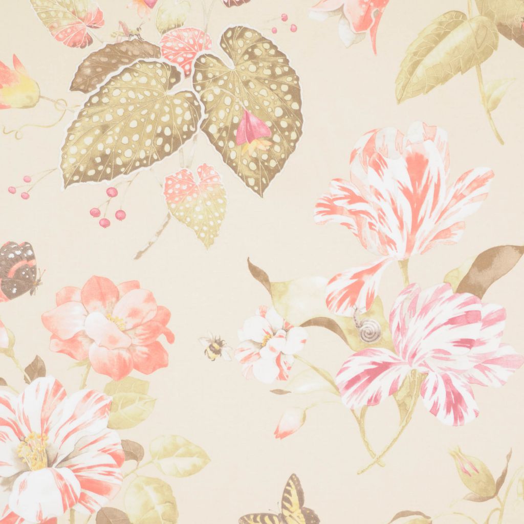 Eade's RMCoco-1181729-sample CHAMPAGNE