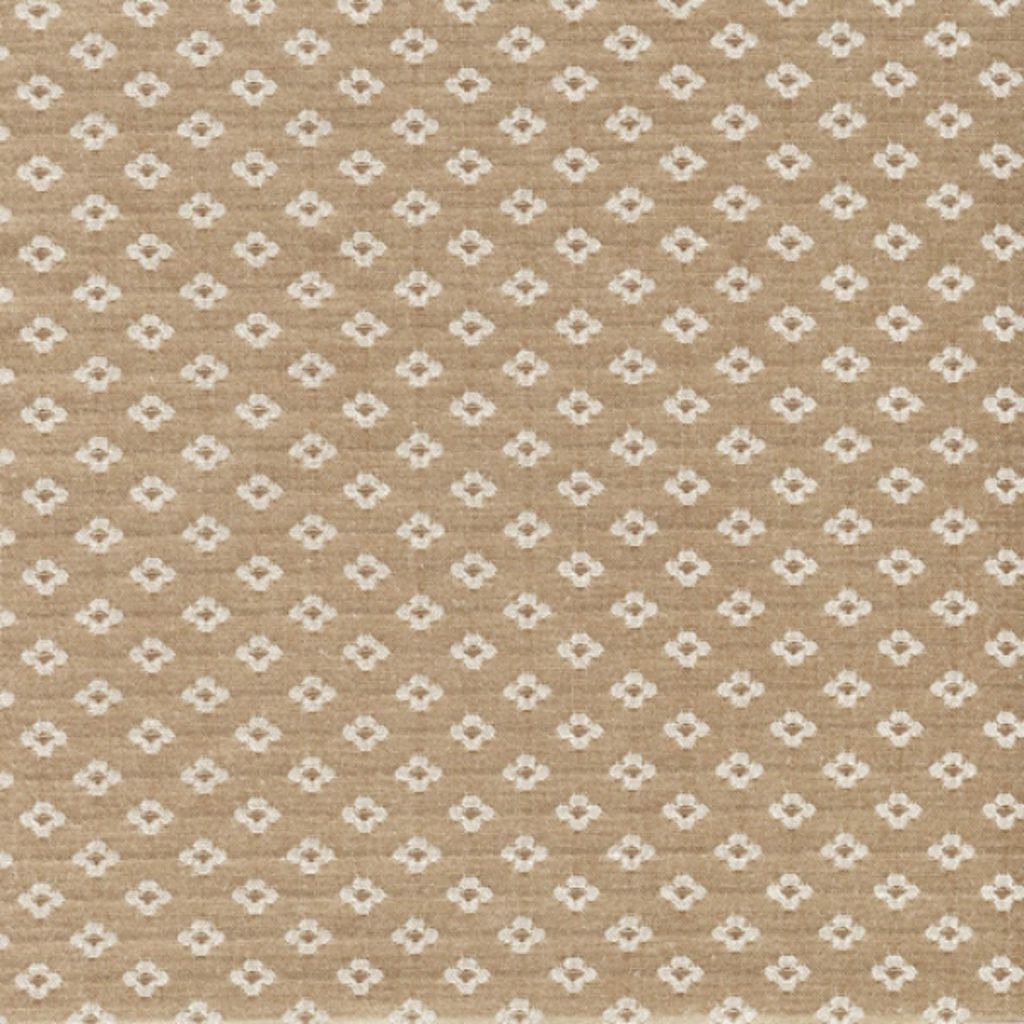 Eade's RMCoco-8484829-sample Champagne