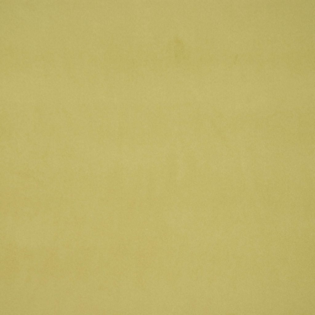 Eade's RMCoco-11857429-sample PARROT