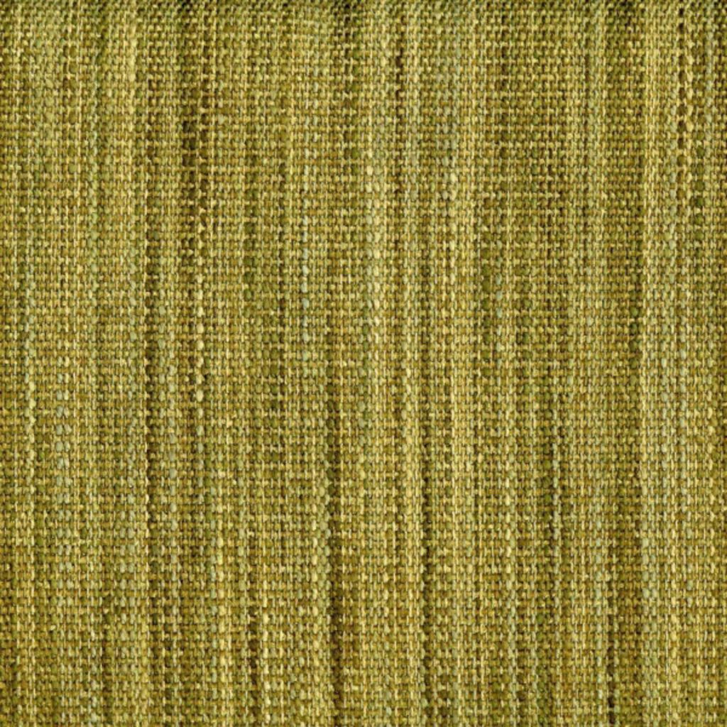 Eade's RMCoco-81967421-sample Palm