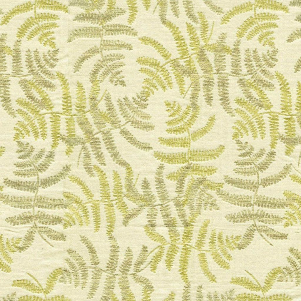 Eade's RMCoco-83645417-sample Fern