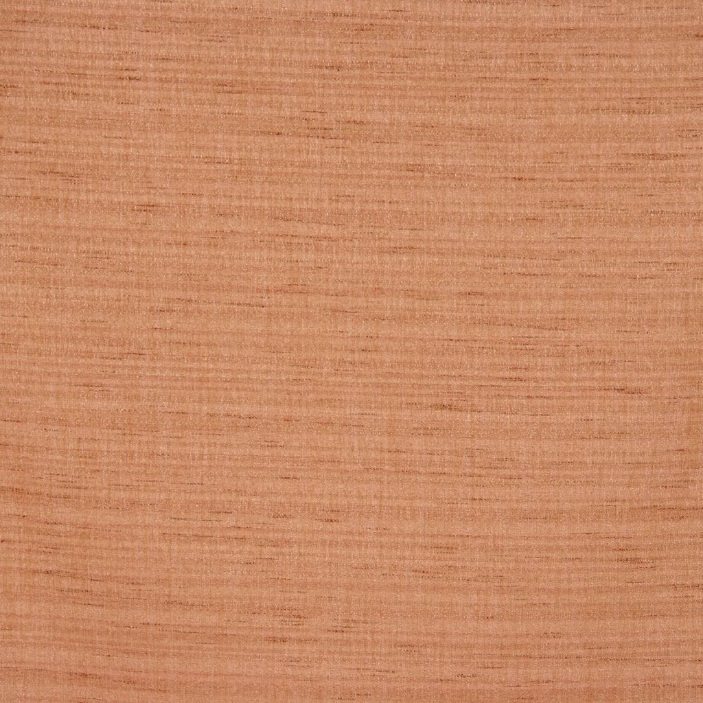 Eade's RMCoco-1167160-sample GINGER