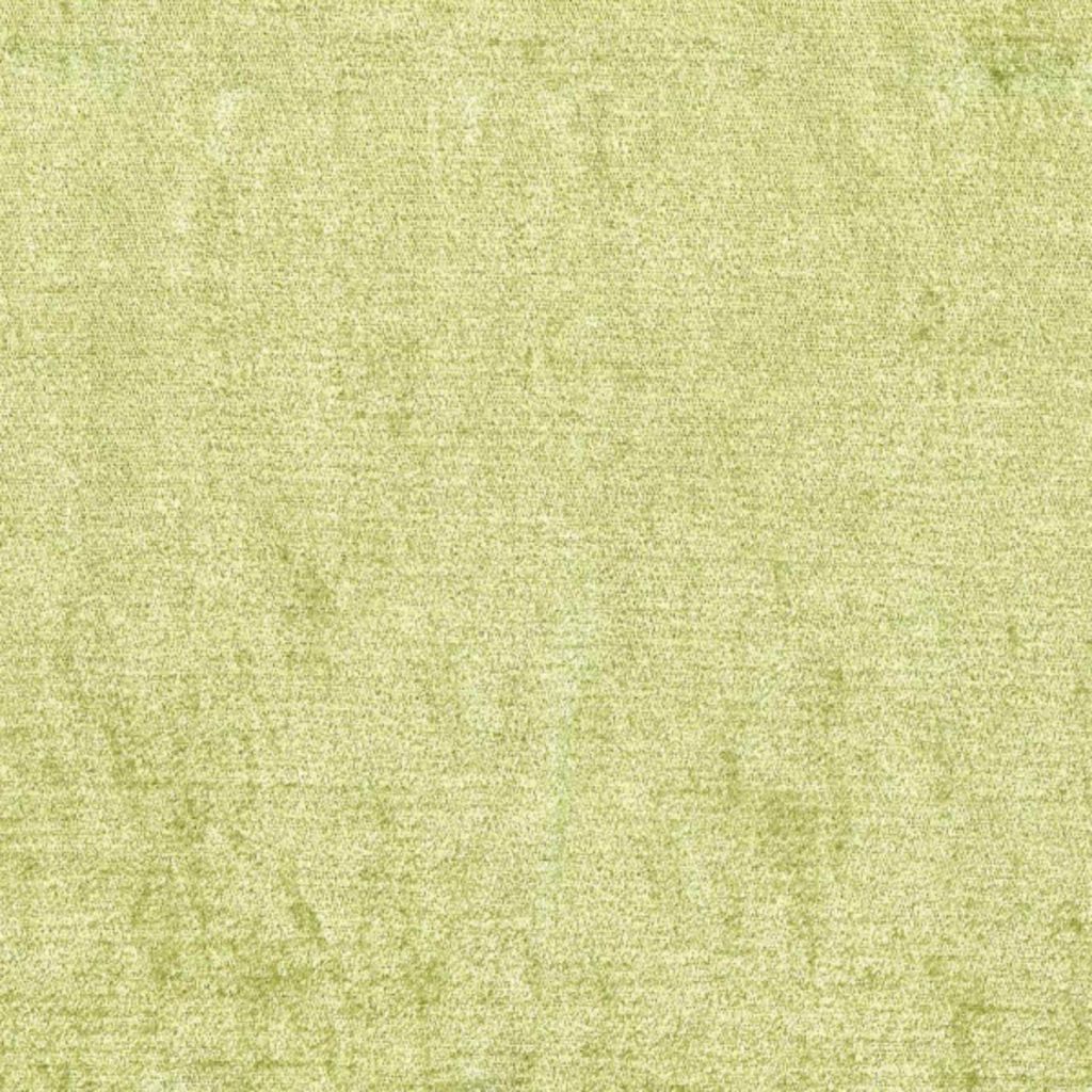 Eade's RMCoco-81809359-sample Parrot