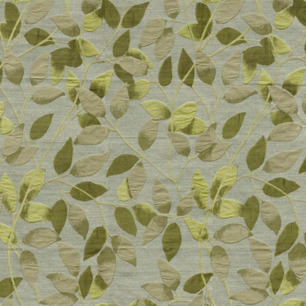 Eade's RMCoco-78371315-sample KIWI