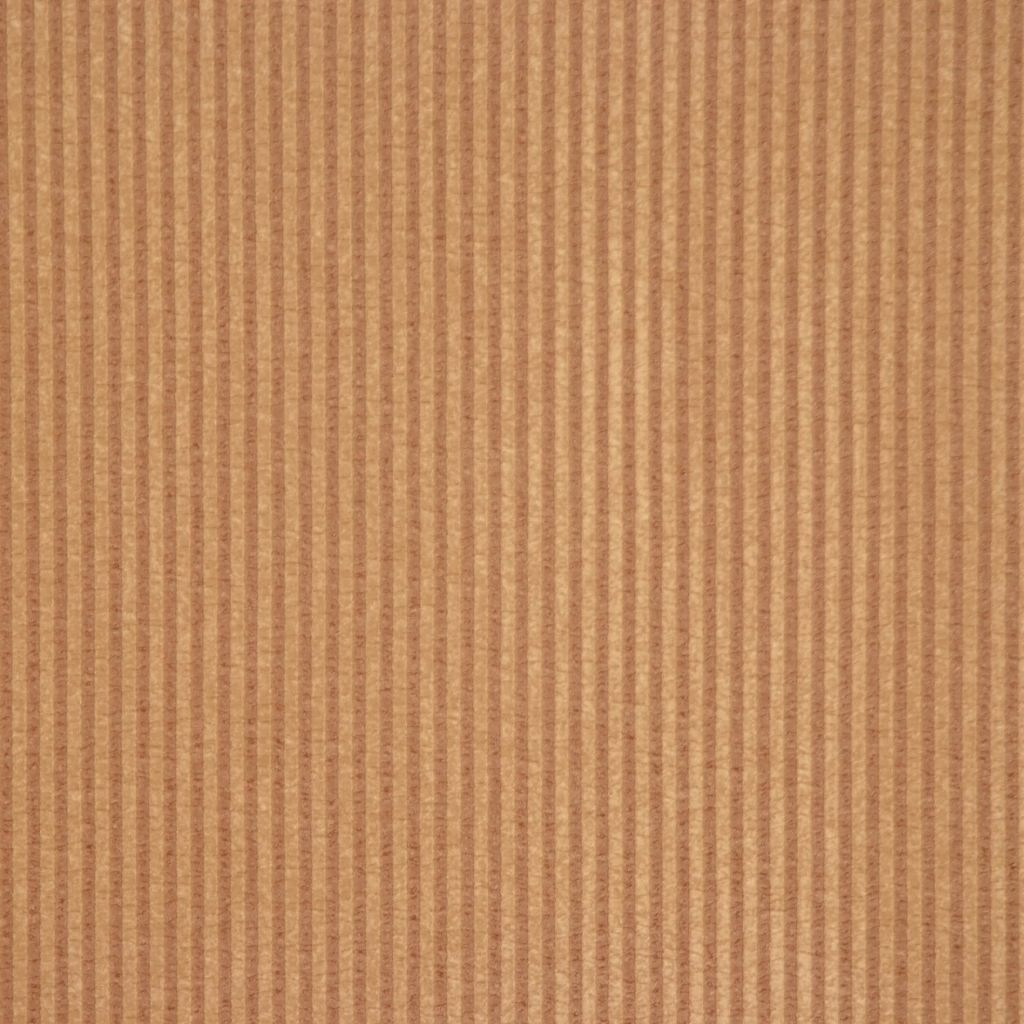 Eade's RMCoco-11578203-sample SPICE