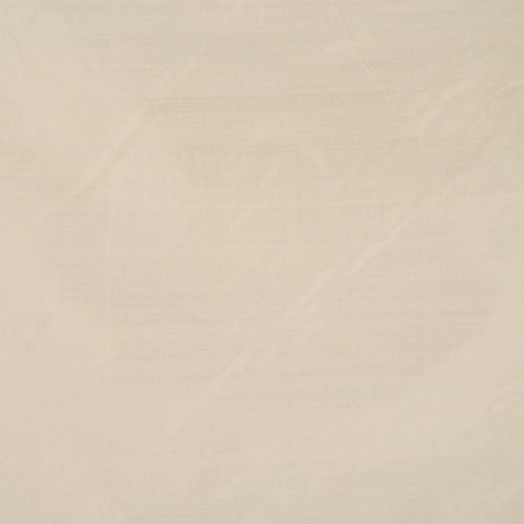 Eade's RMCoco-11584103-sample Conch