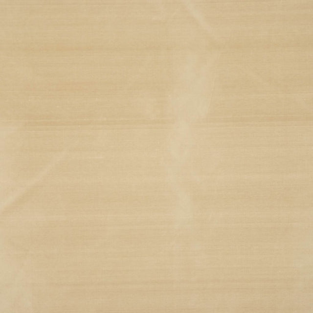 Eade's RMCoco-11584544-sample Corn