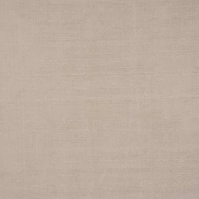 Eade's RMCoco-11584174-sample Stucco