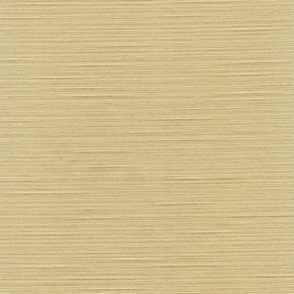 Eade's RMCoco-70511126-sample Bone