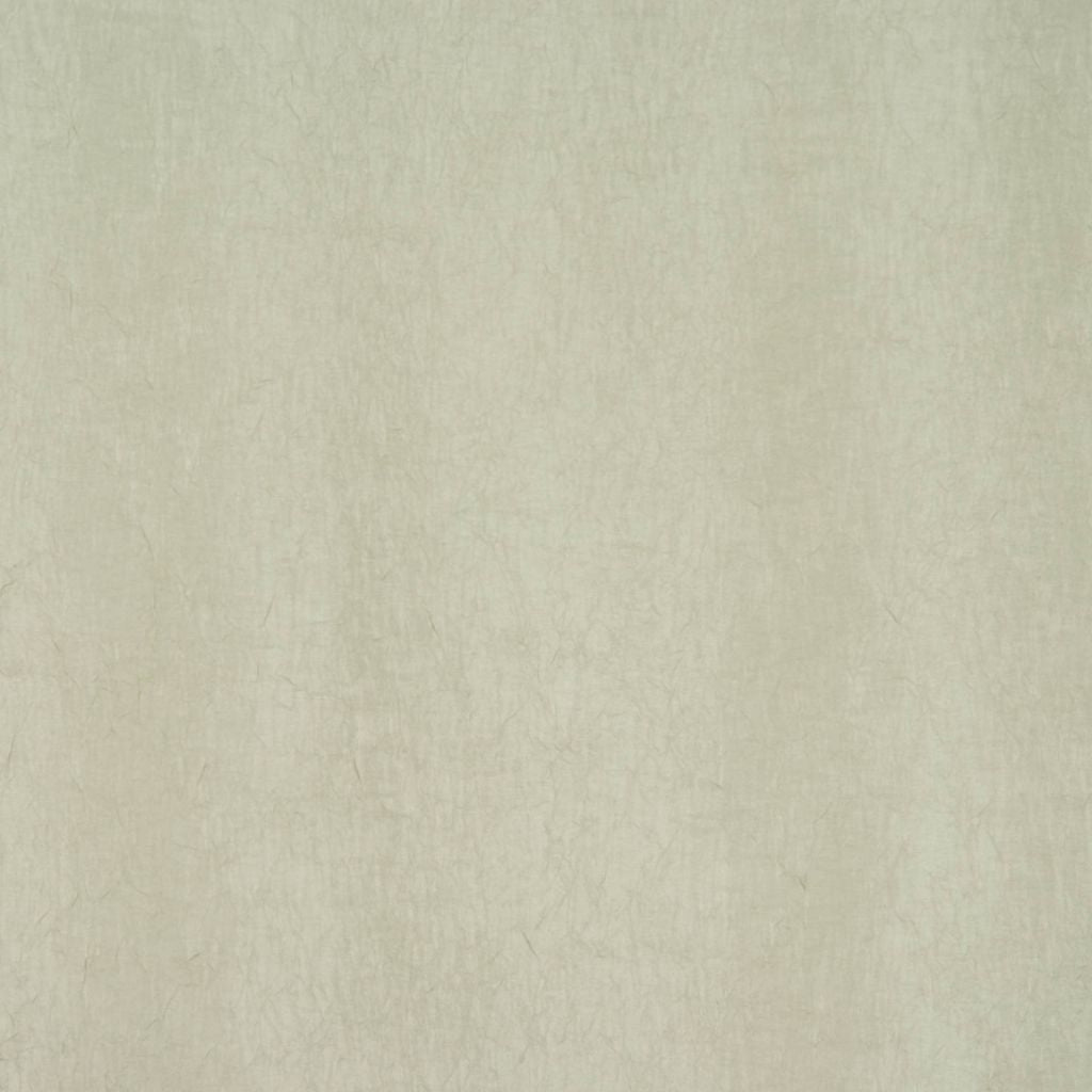 Eade's RMCoco-11421421-sample ISLAND PALM