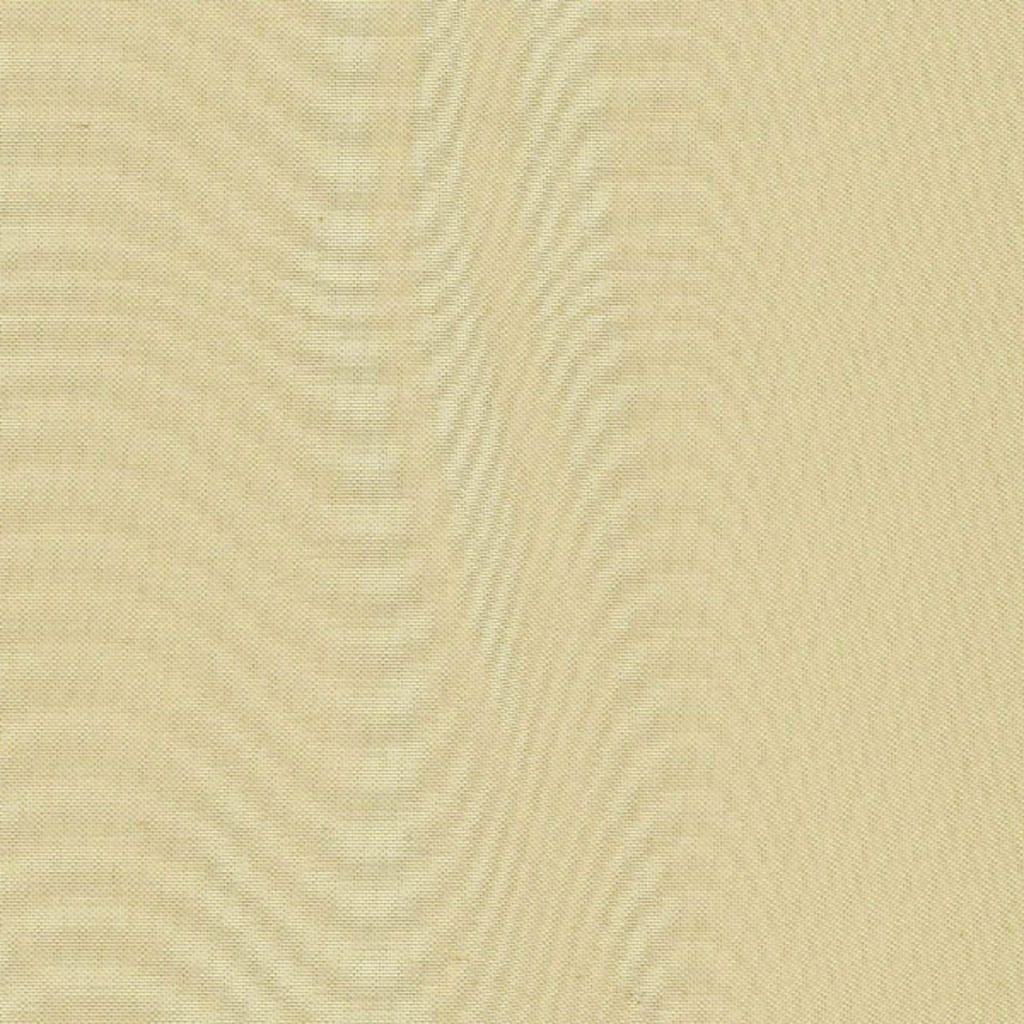 Eade's RMCoco-4523948-sample Shale