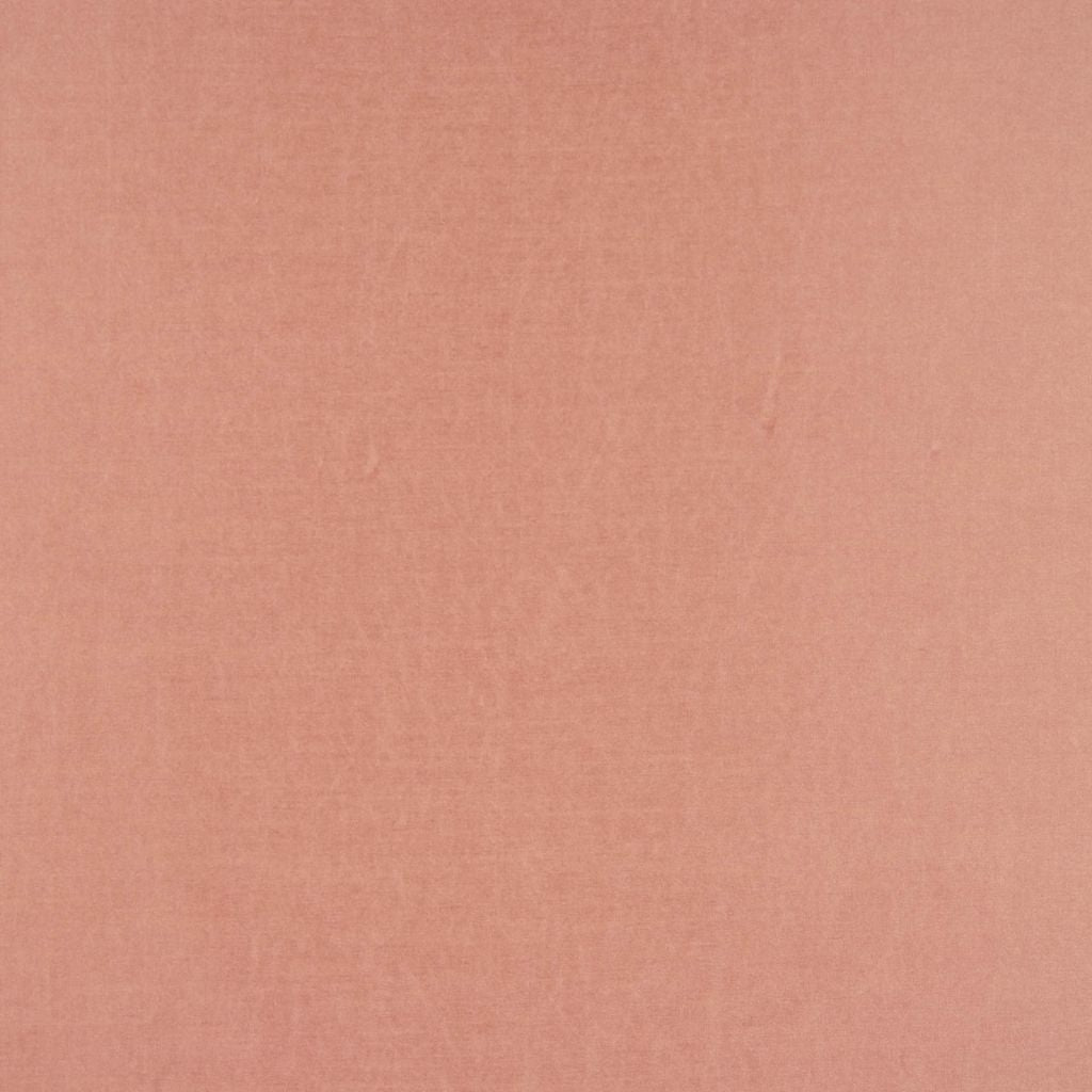 Eade's RMCoco-1112742-sample Coral