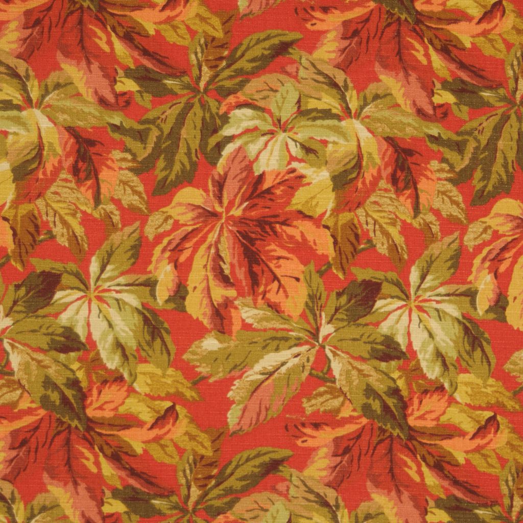 Eade's RMCoco-11360469-sample CARDINAL