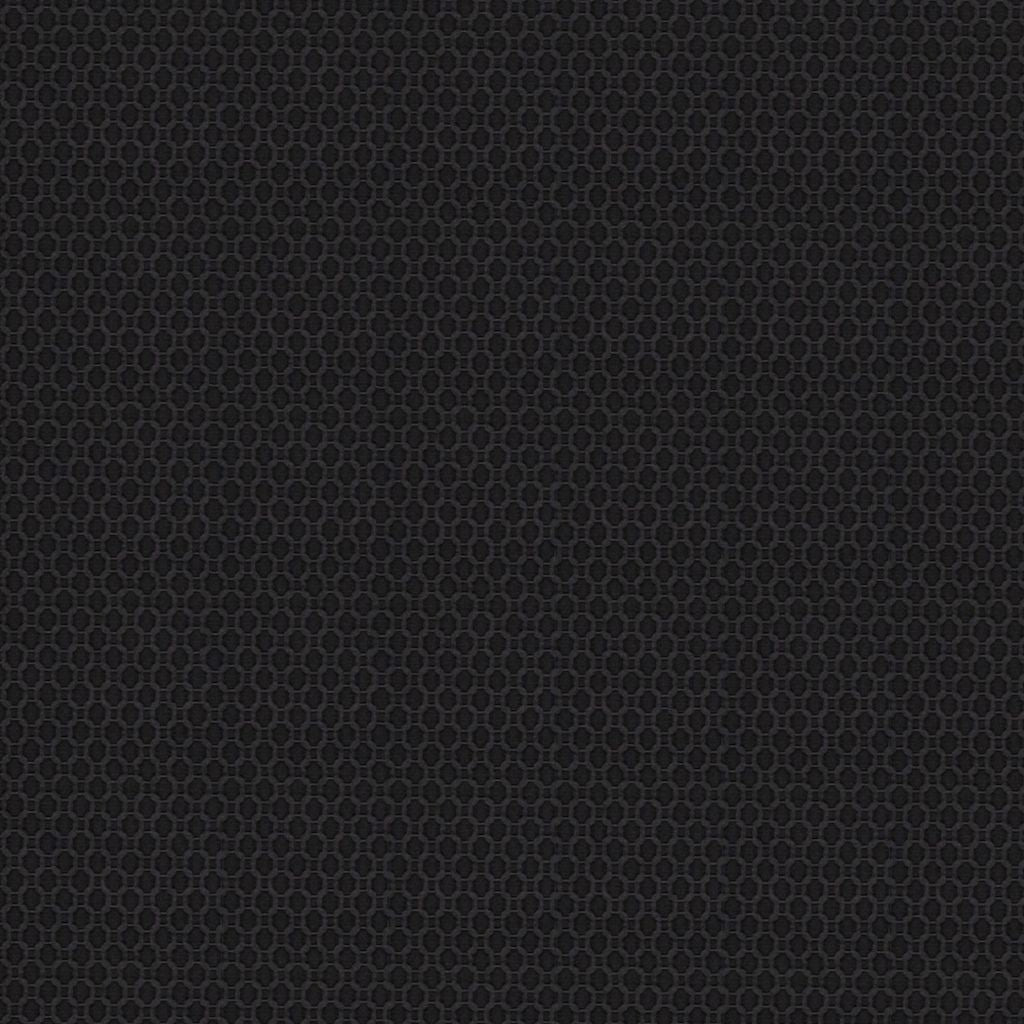 Eade's RMCoco-13454528-sample Raven