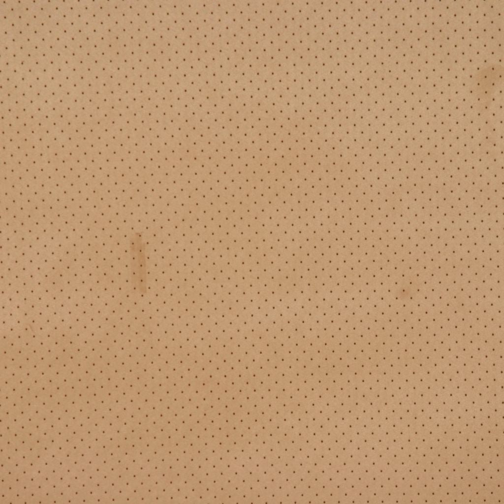 Eade's RMCoco-1022CB207-sample CAMEL