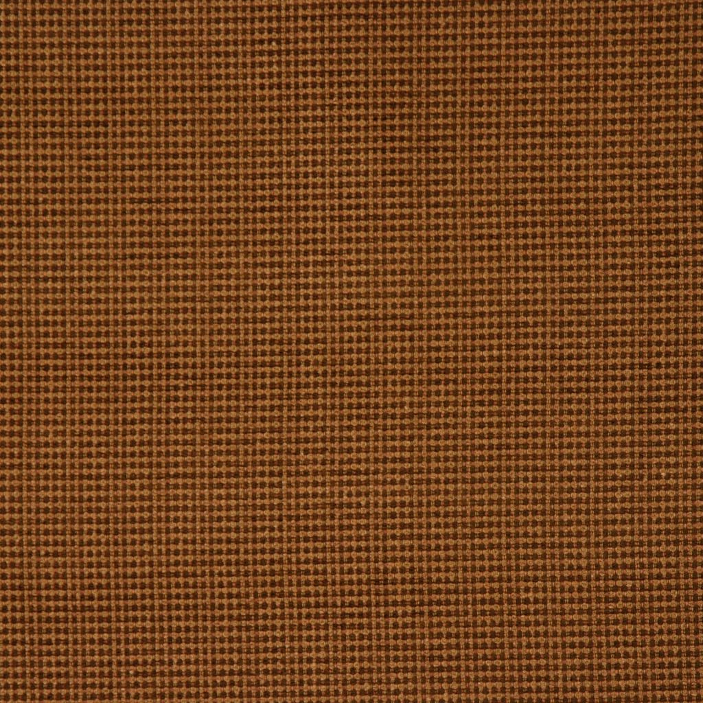 Eade's RMCoco-1301CB1009-sample LICHEN