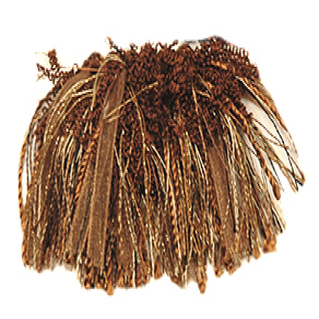 RM Coco T1093 CURLY ROUCHE WISE GUY - Eade's