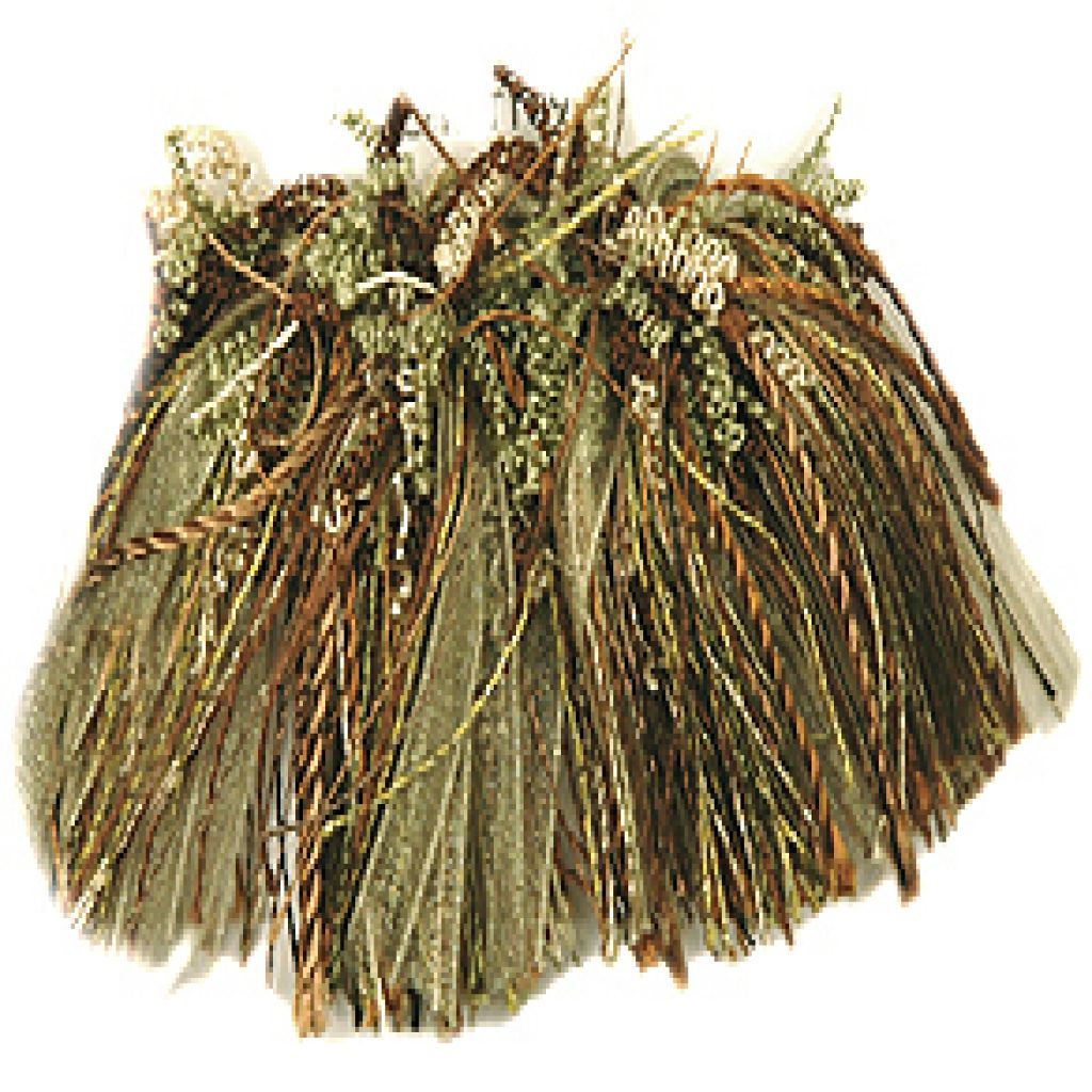 RM Coco T1093 CURLY ROUCHE AVO TREE - Eade's