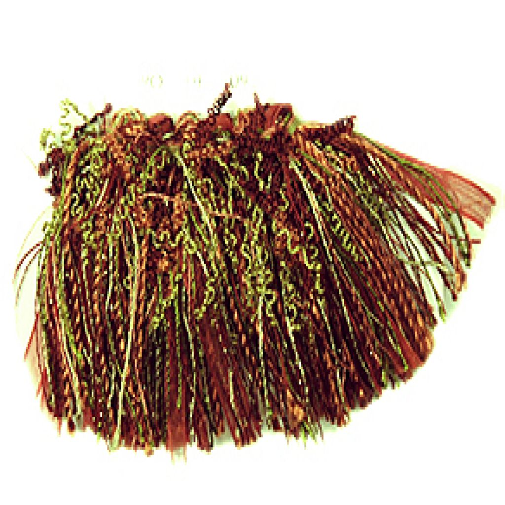 Eade's RMCoco-T1093WY4-sample PLUM SURPRISE