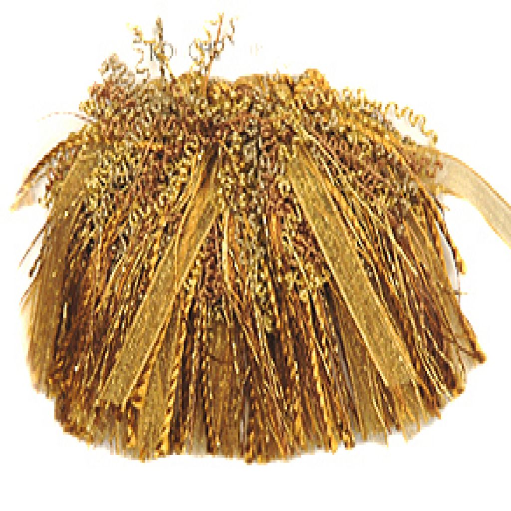 Eade's RMCoco-T1093TK7-sample SANDY SHORES