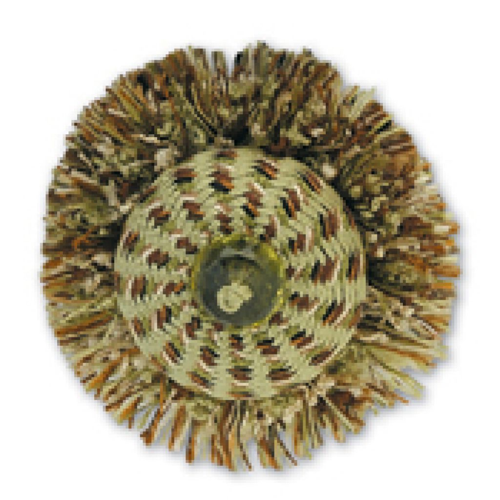 Eade's RMCoco-T1101WY3-sample AVO TREE