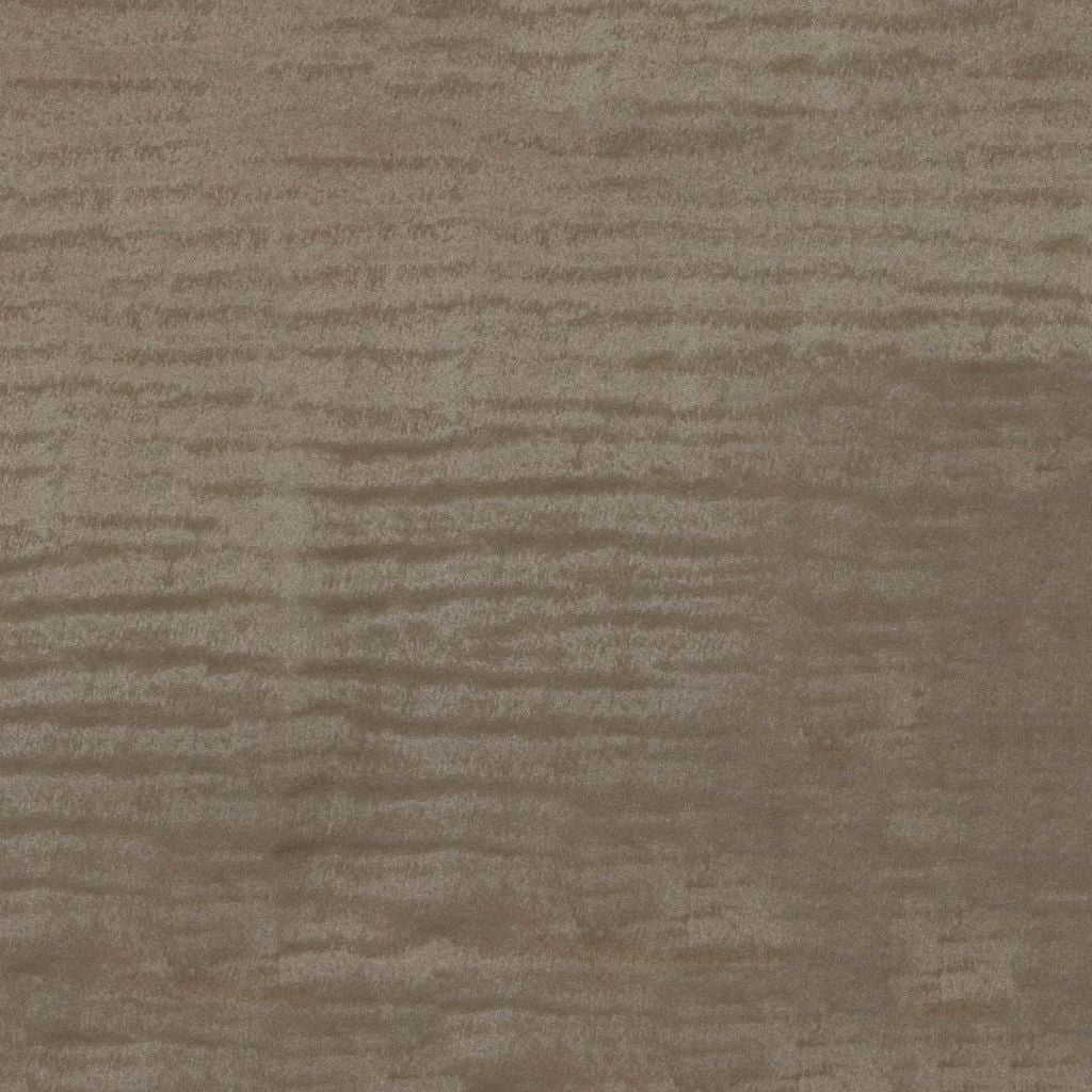 Eade's RMCoco-13695210-sample Mushroom