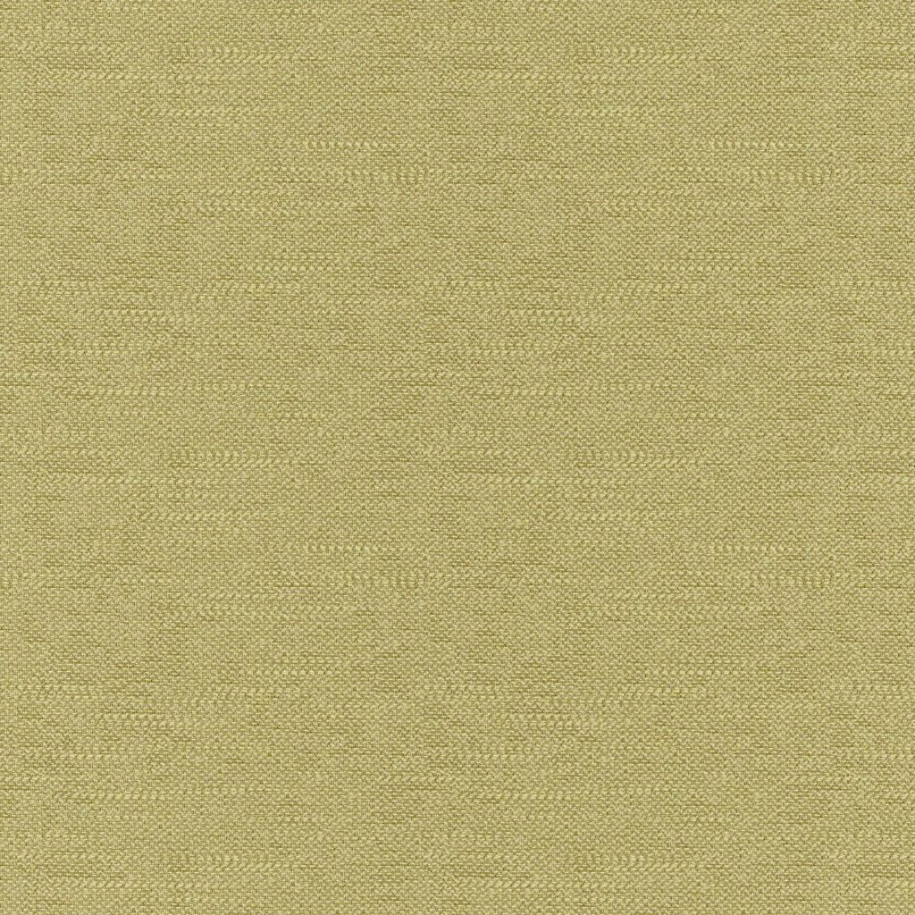 Eade's RMCoco-1336717-sample Moss