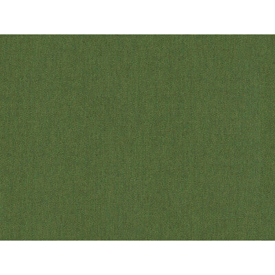 KRAVET DESIGN 16235.33.0 SOLEIL CANVAS FERN Fabric - Eade's Wallpaper
