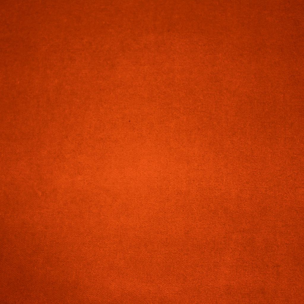 Eade's RMCoco-11982189-sample Shrimp