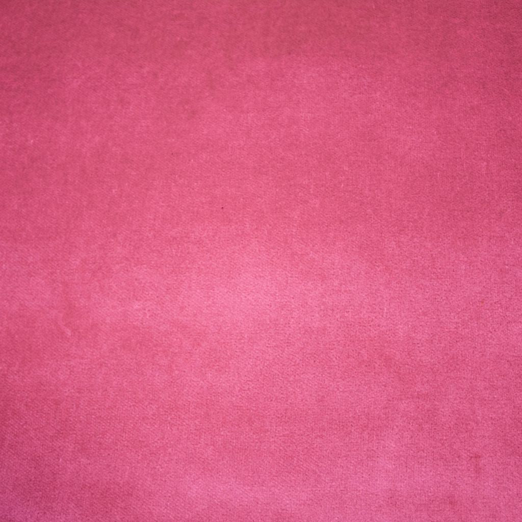 Eade's RMCoco-11982949-sample Begonia