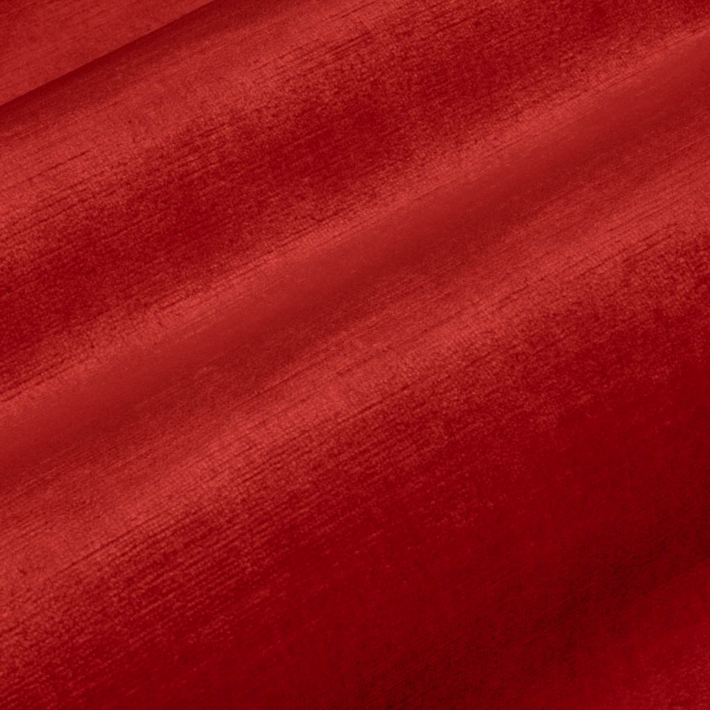 Eade's RMCoco-13727558-sample Camelia