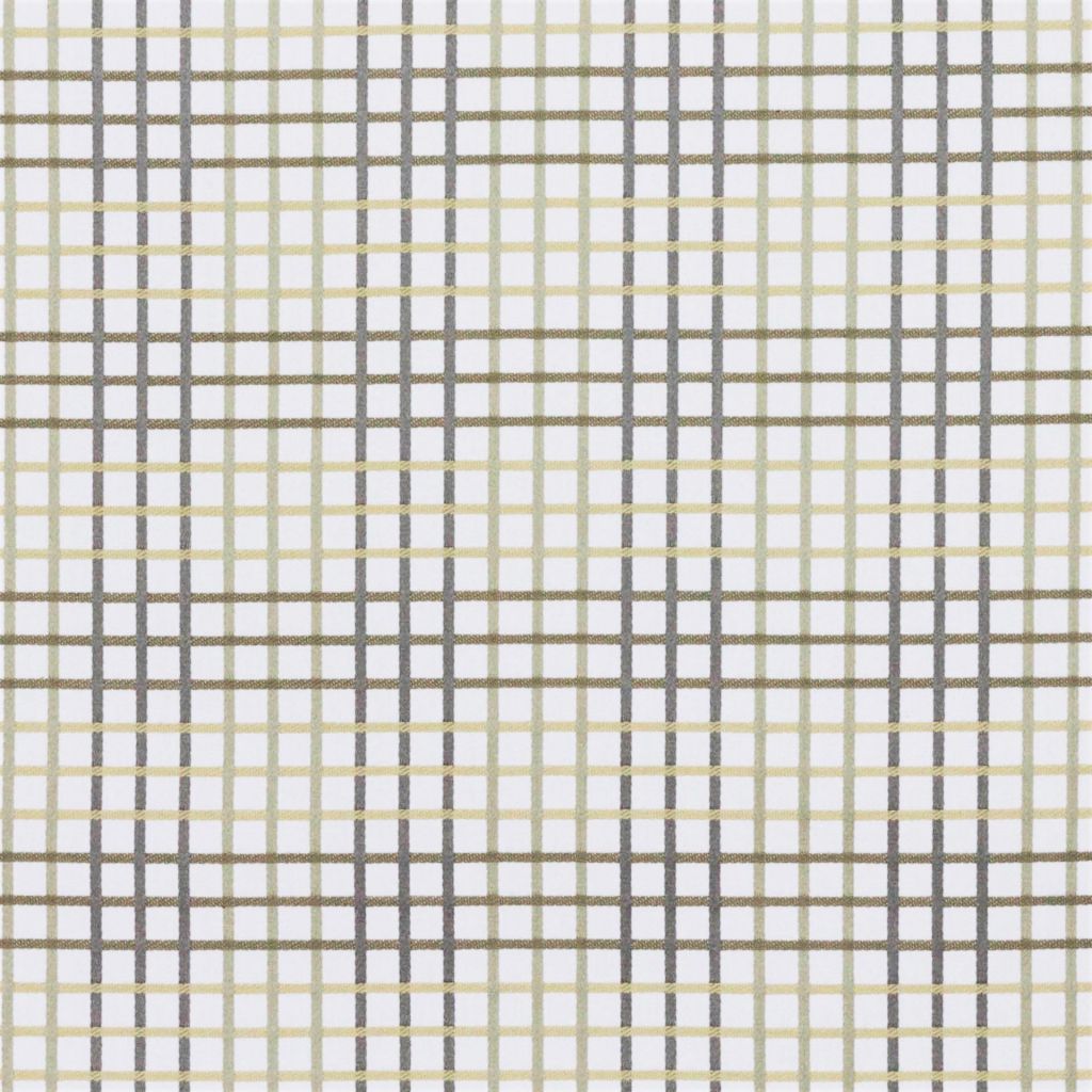 Eade's RMCoco-12885287-sample Sand Dollar