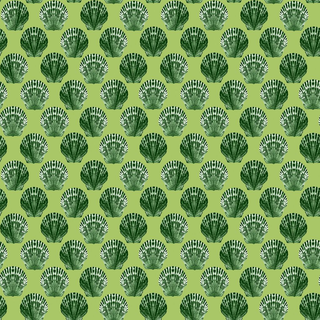 Eade's RMCoco-CW130169-sample Kelp