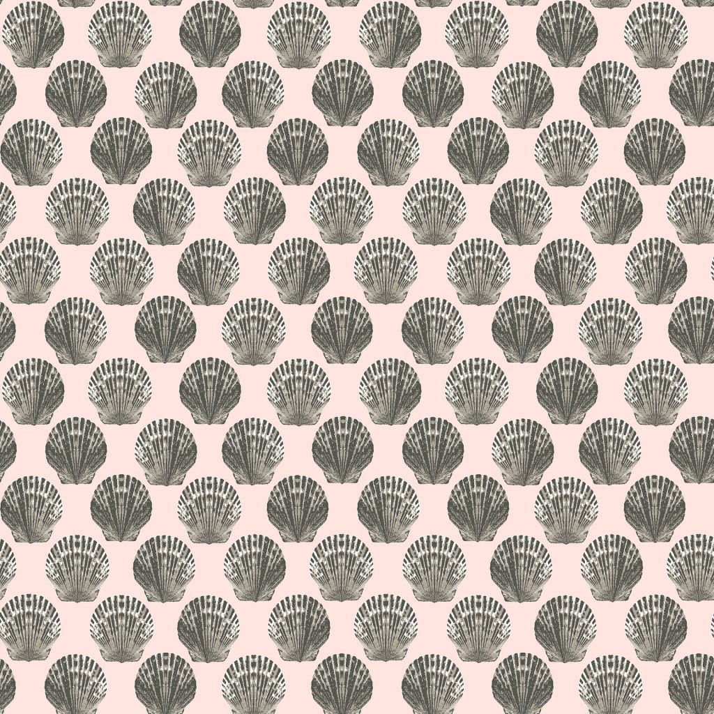 Eade's RMCoco-CW130458-sample Shell