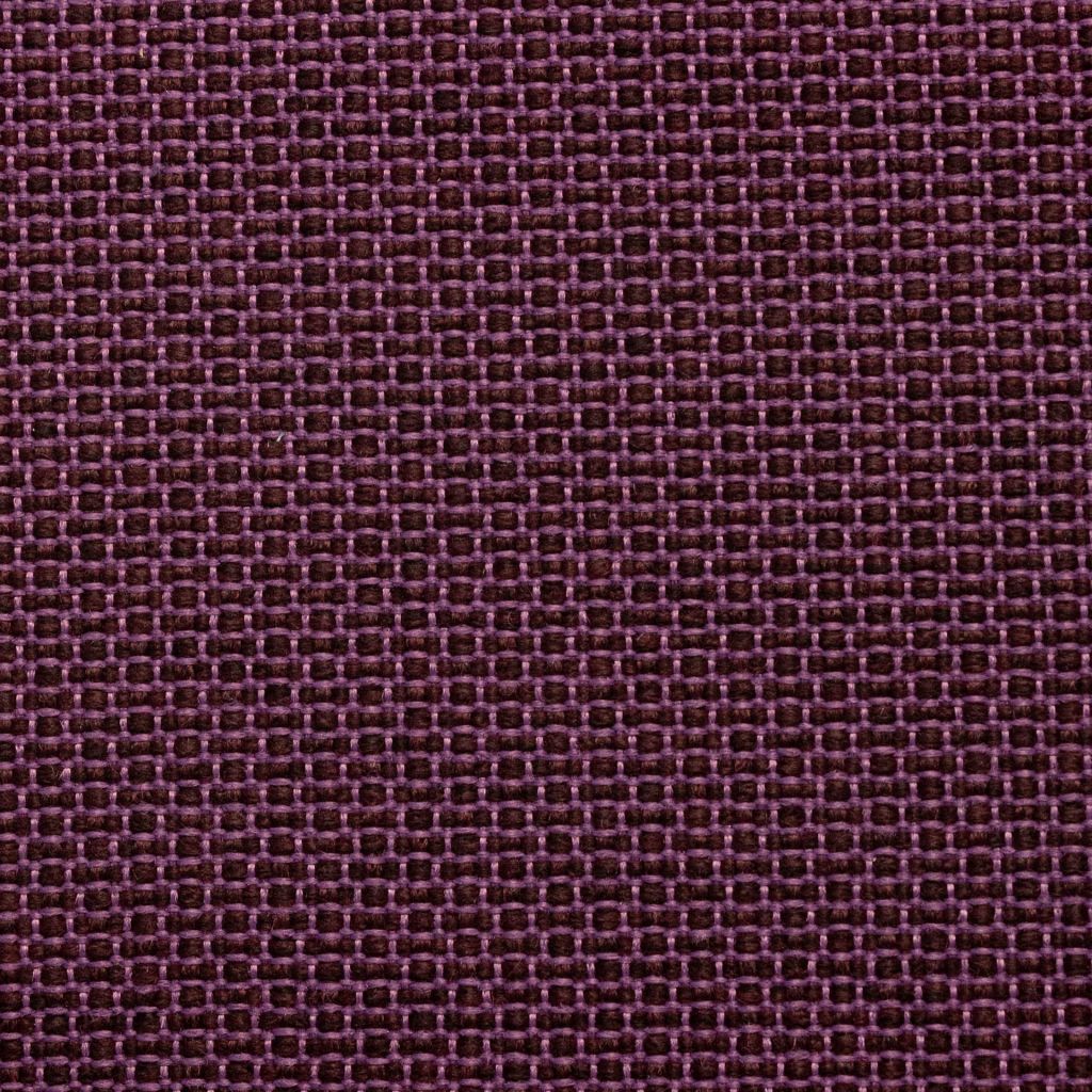 Eade's RMCoco-12807113-sample African Violet