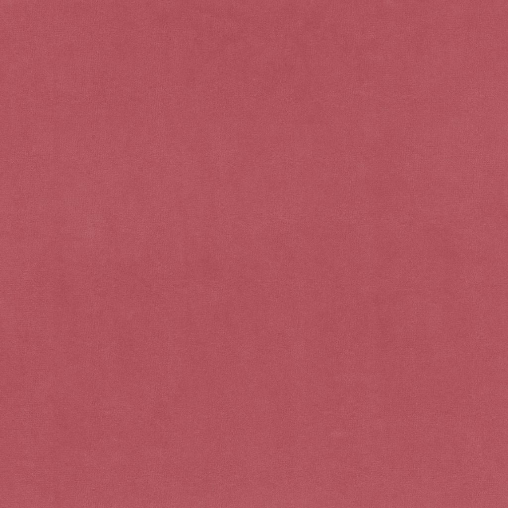 Eade's RMCoco-1377493-sample Cotton Candy