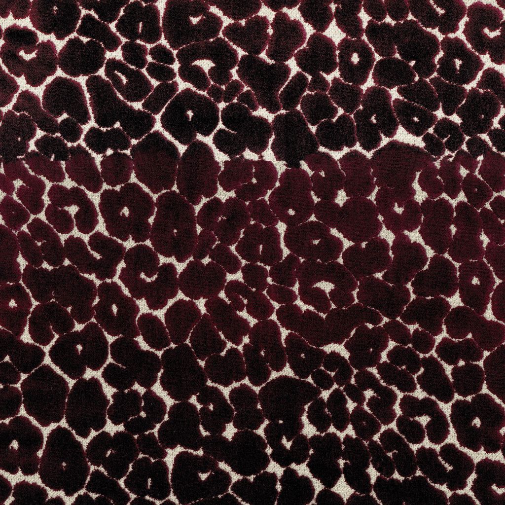 Eade's RMCoco-PR015782-sample Currant