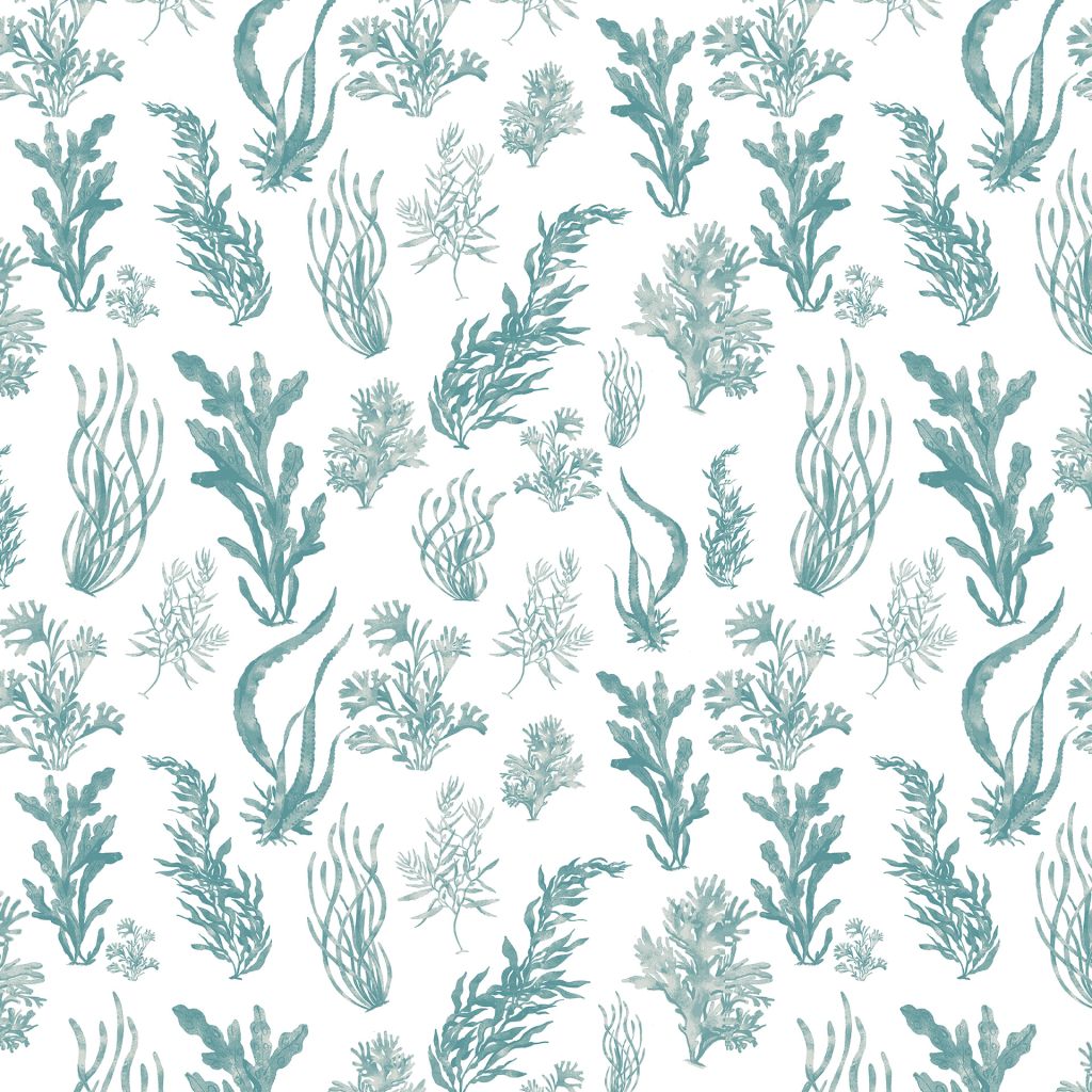 Eade's RMCoco-CWDL1011028-sample Ocean Front