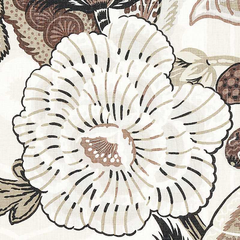 Eade’s EBONY & MOCHA