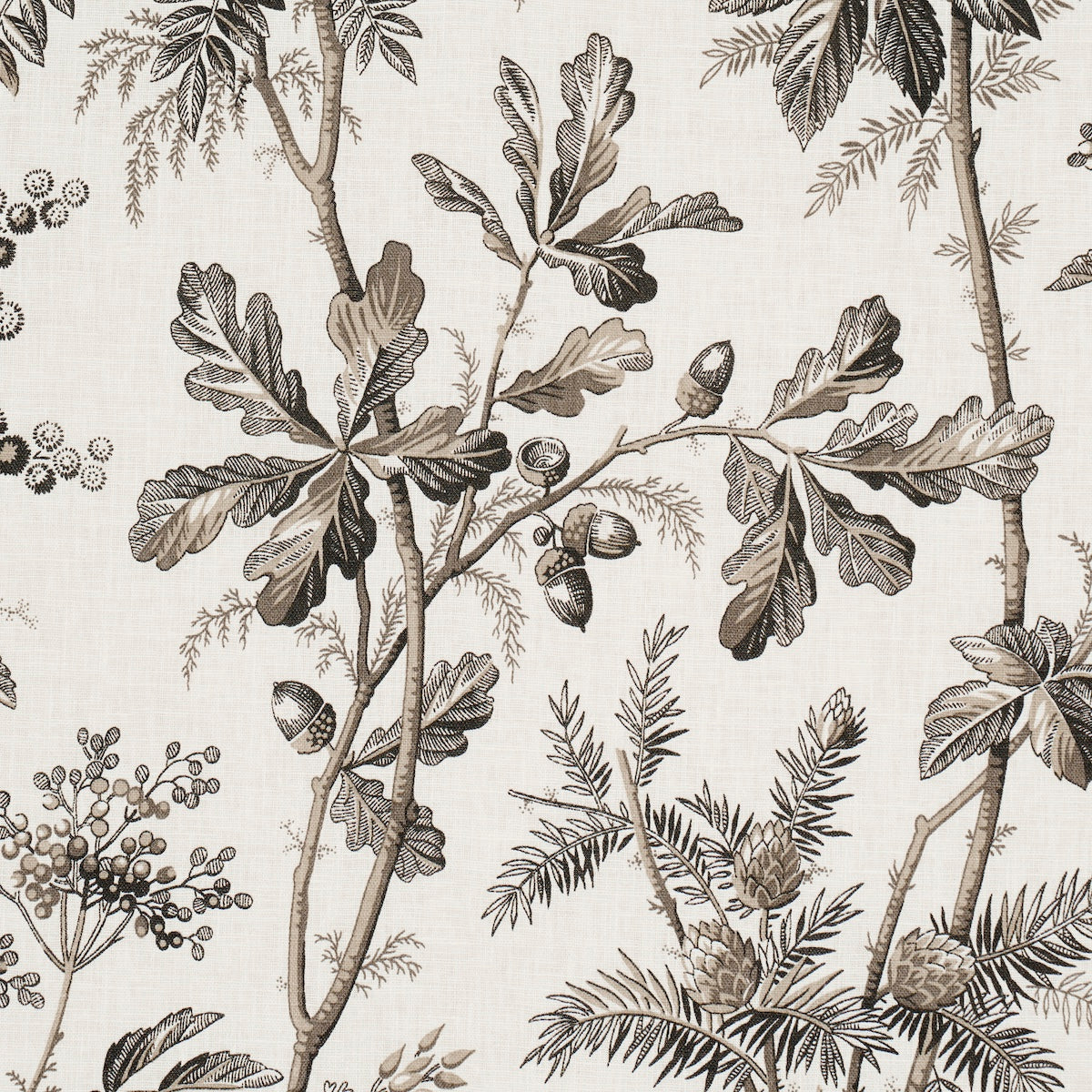 Schumacher 174115 BRANTWOOD VINE in GRAPHITE Fabric - A COUN