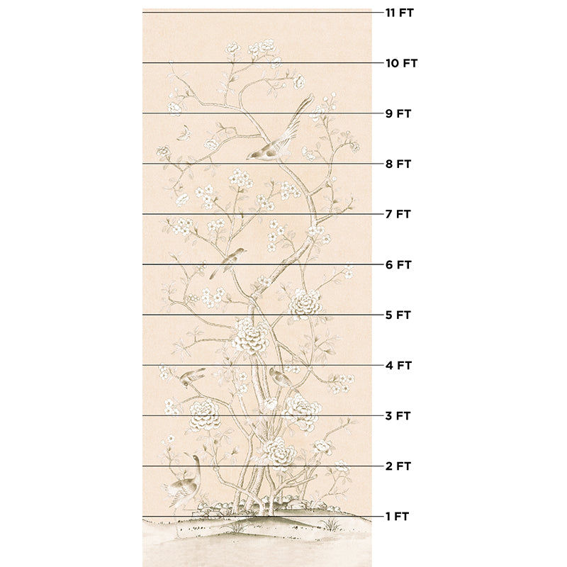 Eade’s BLUSH CONCH