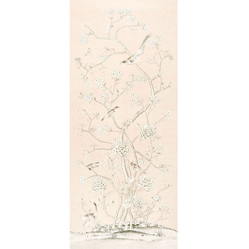 Eade’s BLUSH CONCH