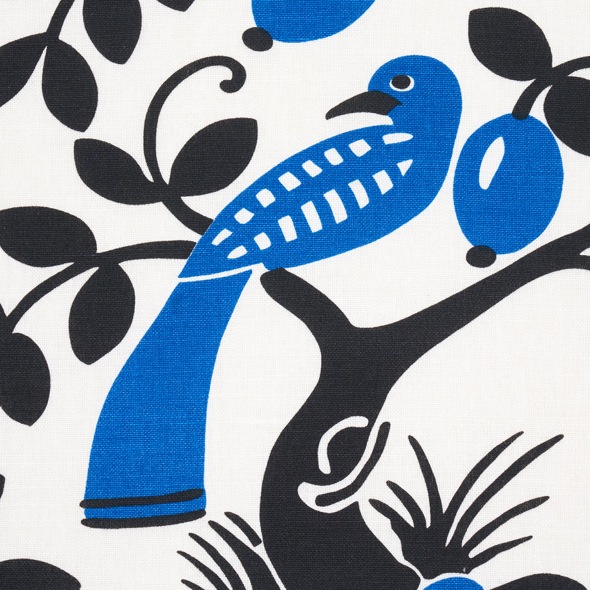 Eade’s BLACK & BLUE