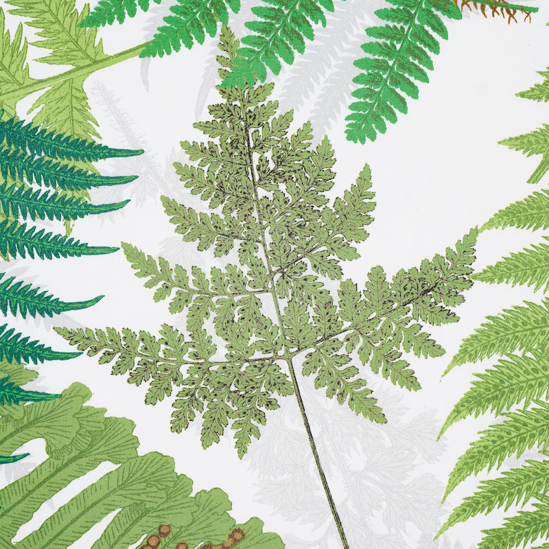 Eade’s GREEN & IVORY