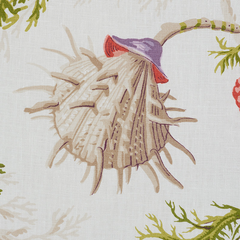 Eade’s PURPLE & CORAL