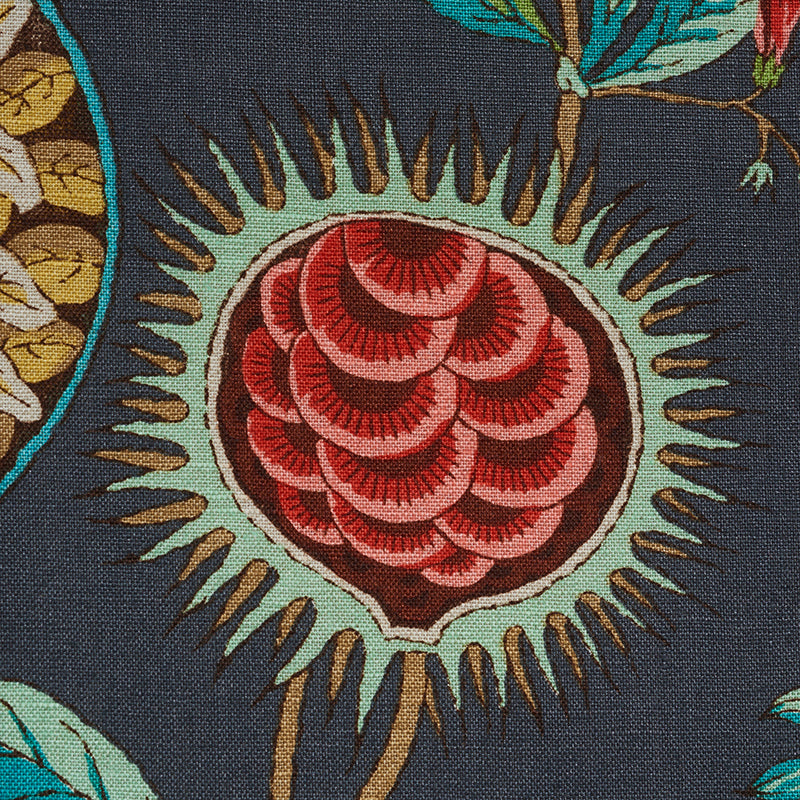 Eade’s CARBON & MULTI